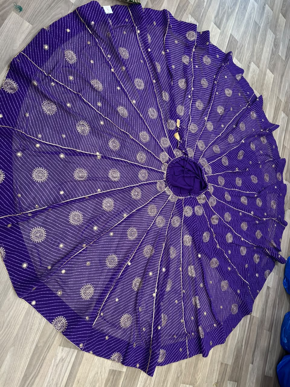 Ziva Chaniya