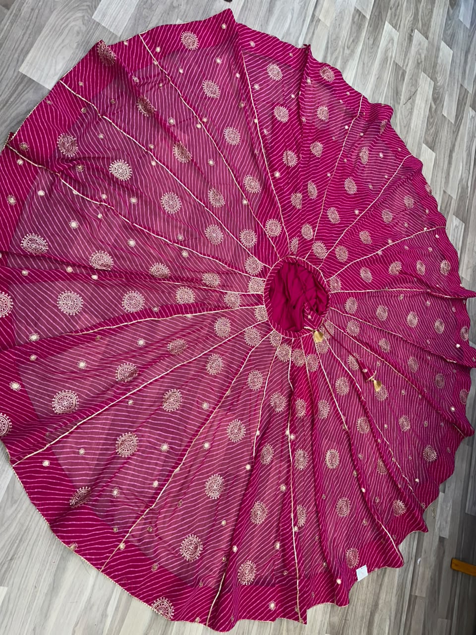 Ziva Chaniya
